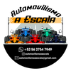 Automovilismo a Escala